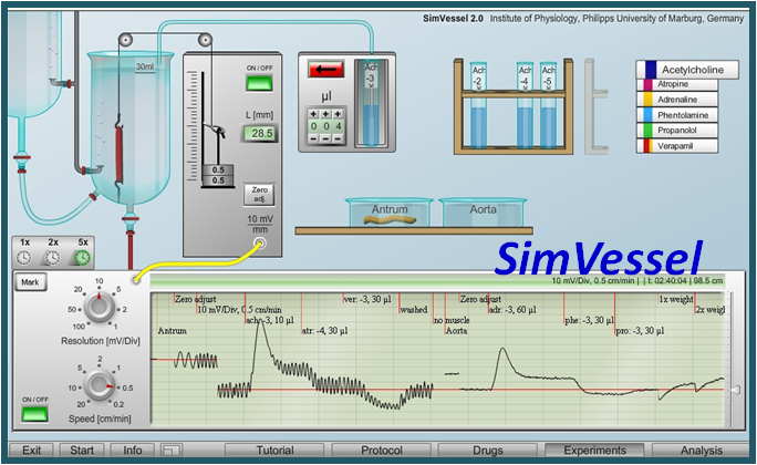 simvessel